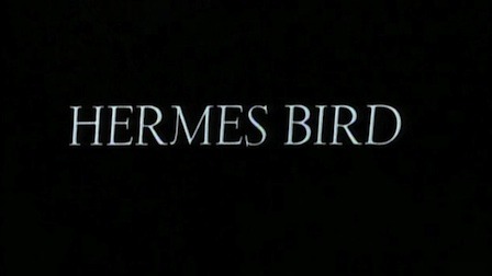 hermes-bird.jpg-1289476883