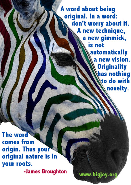 Multi colour zebra