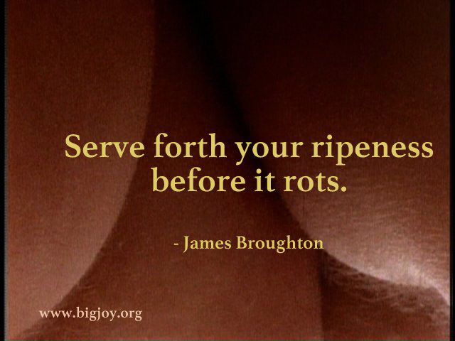 Serve forth your ripeness by James Broughton Erogeny-010