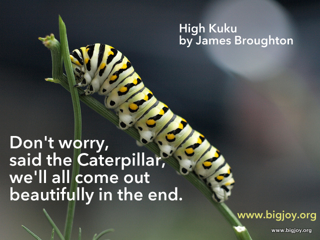 Caterpillar High Kuku by James Broughton pic bytinkerbrad
